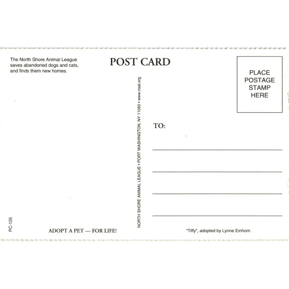 North Shore Animal League Tiffy Cat Postcard PC125 Adopt A Pet